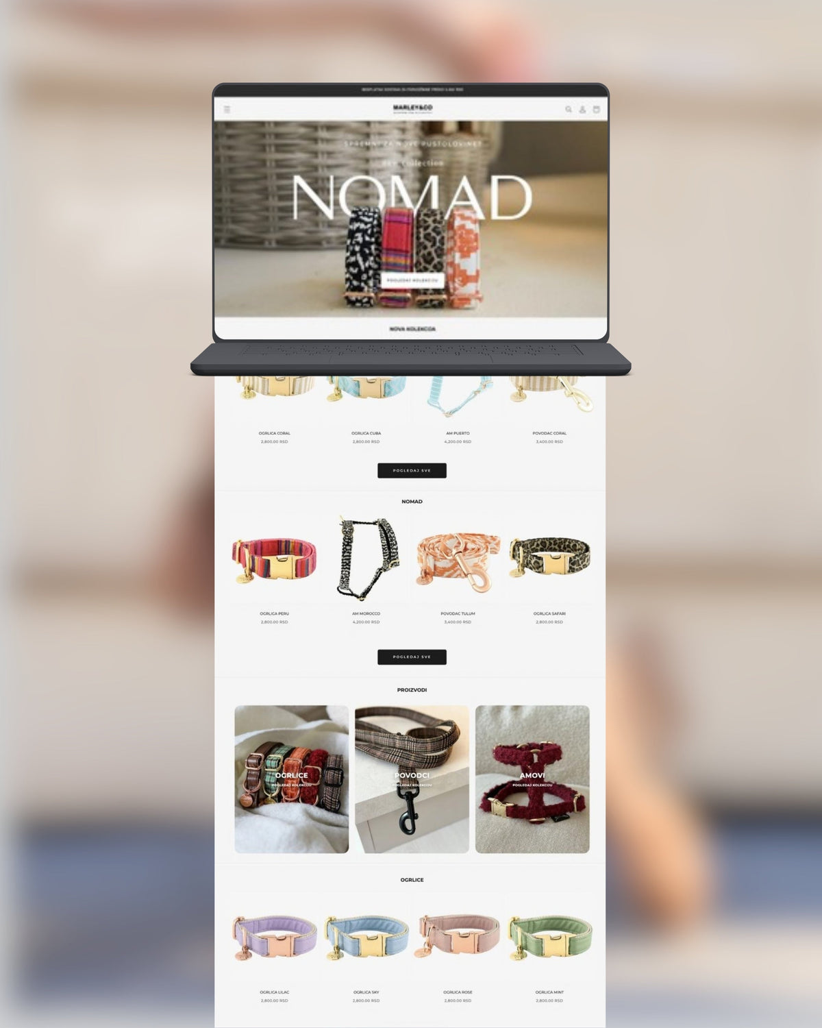 Izrada web prodavnica — 48
